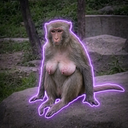 Booby the monkey