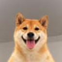Nasdog