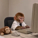 on the computer