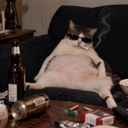 Degenerate Cat