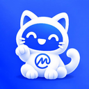 Coin Market Cat