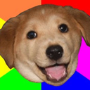 advicedog