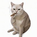 Blunt cat