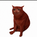 Crash Cat