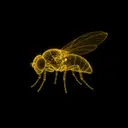 Immortal Fruit Flies