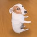 Sitting Dog