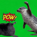 Pow