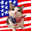 AMERICAT