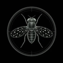 Imago