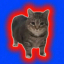 The memecat