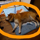Chachamaru