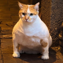 Giga Cat