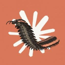 arthropods