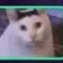 Huhcat