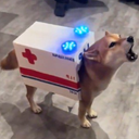 DogBulance