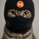 Crime Cat