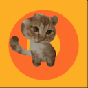 疯狂猫咪