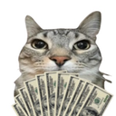 Motion Cat