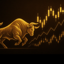 BULLRUN