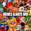 memes always win