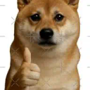 Good Enough Inu