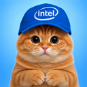 Intel Cat