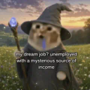 Mysterious Source Of Income Cat