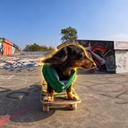 Rowdy The Skatedog