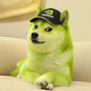 NVDA Doge