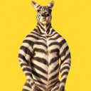 Zebra Kangaroo