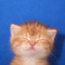 eepy