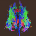 ShiBrain