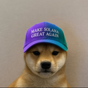 dog wif cap