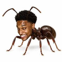 Antsem