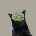 cat wif kippah