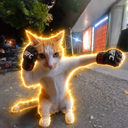 Ultimate Fighting Cat
