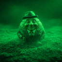 SEED INVESTOR