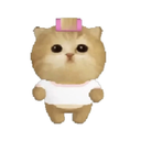 meef the cat