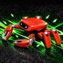 An Crab Robot
