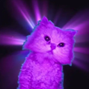 Nothing Cat