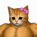 Muscle Cat