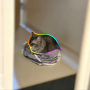 Maro