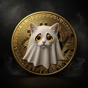 SPOOKY CATE