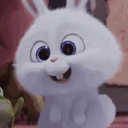 RABBIT