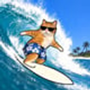 Surfcat