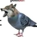 lobo