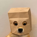 Anonymous Dog