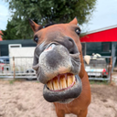 you
