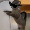 vrcat