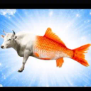 Bull Fish